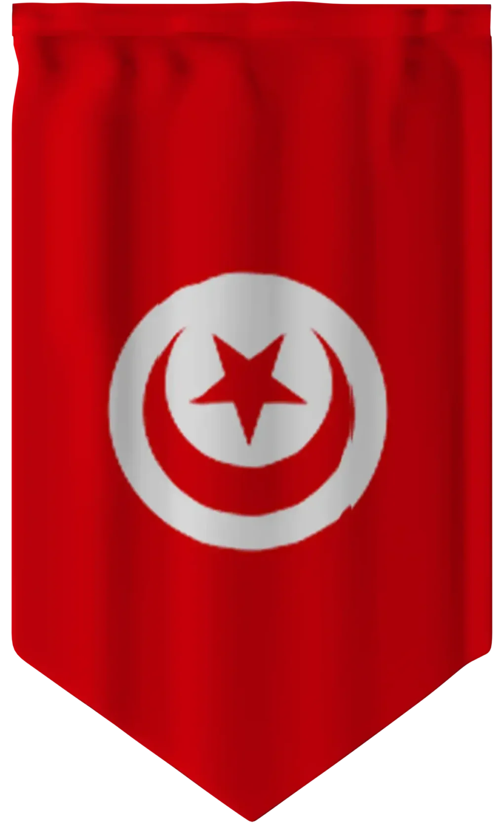 تونس